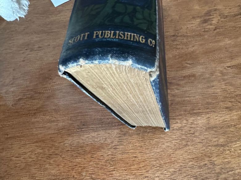 Life and Explorations of Dr Livingstone by John S Roberts