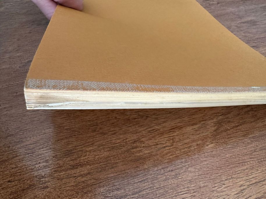 The Mobile Home in Australia by Simon Holthouse